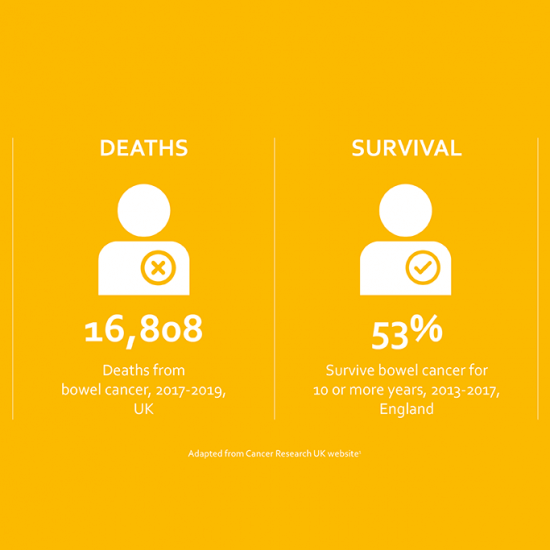 Infographic on bowel cancer from Cancer Research UK website. Text reads: 42,886 new cases of bowel cancer each year, 2016-2018 average UK. 16808 deaths from bowel cancer, 2017-2019 UK. 53% survive bowel cancer for 10 or more years, 2013-2017 England. 54% preventable cases of bowel cancer, UK.